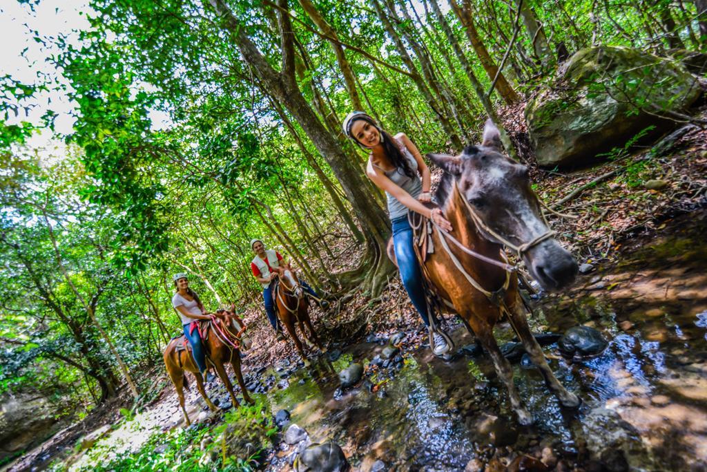 Vida Aventura Ranch Hotel Tanques Kültér fotó