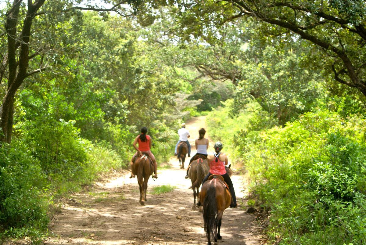 Vida Aventura Ranch Hotel Tanques Kültér fotó